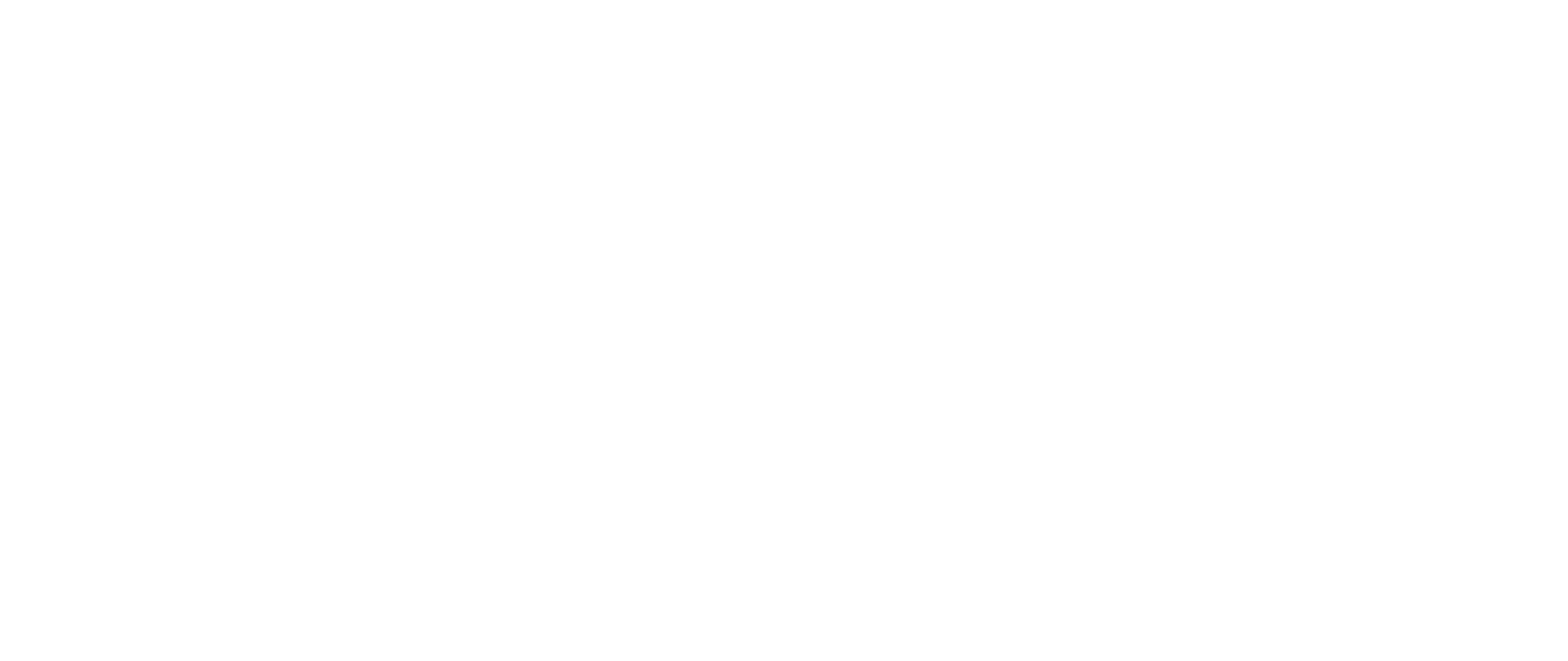 Actifleet